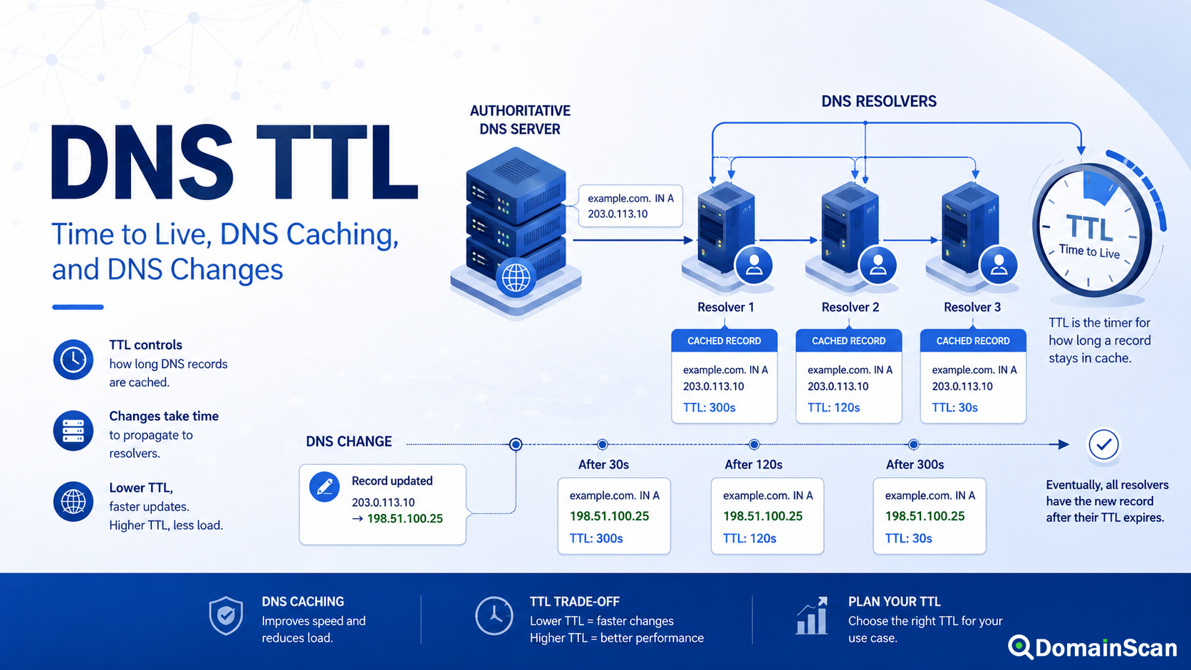 What Is DNS TTL and How Does It Affect DNS Changes?
