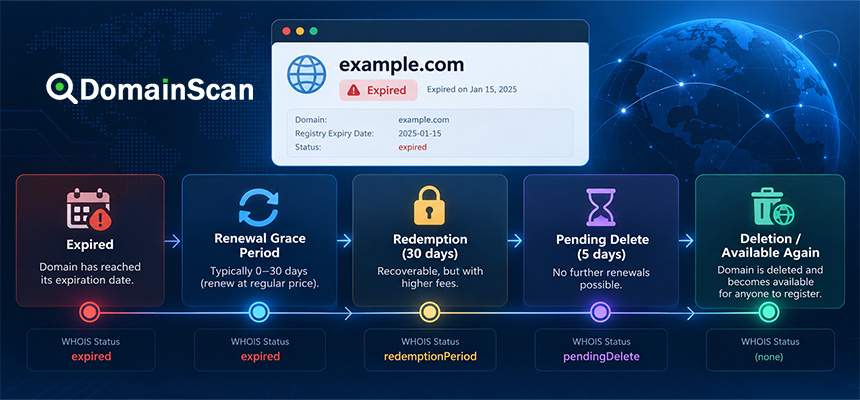 What Happens When a Domain Expires? The Complete Timeline from Expiry to Deletion